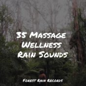 35 Massage Wellness Rain Sounds