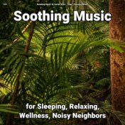 #01 Soothing Music for Sleeping, Relaxing, Wellness, Noisy Neighbors