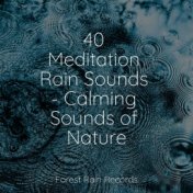 40 Meditation Rain Sounds - Calming Sounds of Nature
