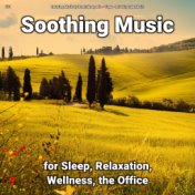 #01 Soothing Music for Sleep, Relaxation, Wellness, the Office