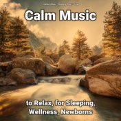 zZZz Calm Music to Relax, for Sleeping, Wellness, Newborns