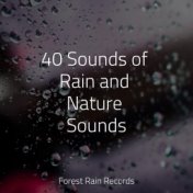 40 Sounds of Rain and Nature Sounds