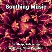 zZZz Soothing Music for Sleep, Relaxation, Wellness, Noise Pollution