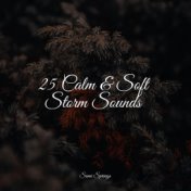 25 Calm & Soft Storm Sounds