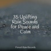 35 Uplifting Rain Sounds for Peace and Calm