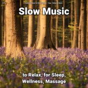 #01 Slow Music to Relax, for Sleep, Wellness, Massage