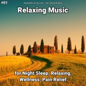 #01 Relaxing Music for Night Sleep, Relaxing, Wellness, Pain Relief