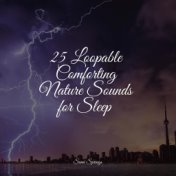 25 Loopable Comforting Nature Sounds for Sleep