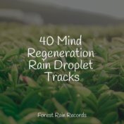 40 Mind Regeneration Rain Droplet Tracks