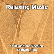 zZZz Relaxing Music to Unwind, for Sleeping, Studying, Spa