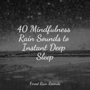 40 Mindfulness Rain Sounds to Instant Deep Sleep