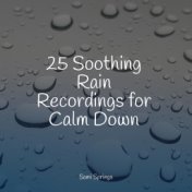25 Soothing Rain Recordings for Calm Down
