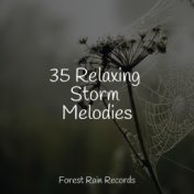 35 Relaxing Storm Melodies