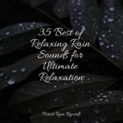 35 Best of Relaxing Rain Sounds for Ultimate Relaxation