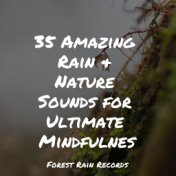 35 Amazing Rain & Nature Sounds for Ultimate Mindfulness