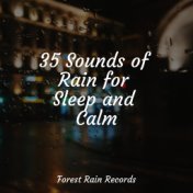 35 Sounds of Rain for Sleep and Calm