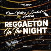 Reggaeton In The Night