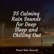 35 Calming Rain Sounds for Deep Sleep and Chilling Out