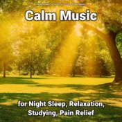 #01 Calm Music for Night Sleep, Relaxation, Studying, Pain Relief