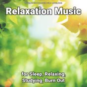 #01 Relaxation Music for Sleep, Relaxing, Studying, Burn Out