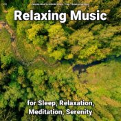 #01 Relaxing Music for Sleep, Relaxation, Meditation, Serenity