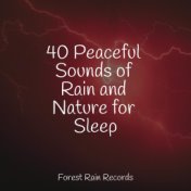 40 Peaceful Sounds of Rain and Nature for Sleep