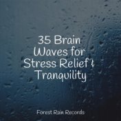 35 Brain Waves for Stress Relief & Tranquility