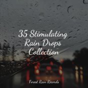 35 Stimulating Rain Drops Collection