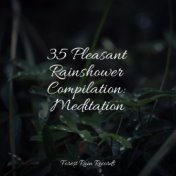 35 Pleasant Rainshower Compilation: Meditation