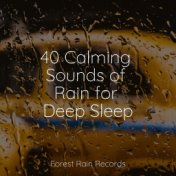 40 Calming Sounds of Rain for Deep Sleep