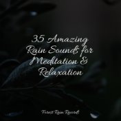 35 Amazing Rain Sounds for Meditation & Relaxation
