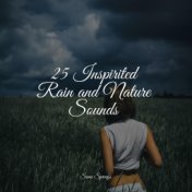 25 Inspirited Rain and Nature Sounds