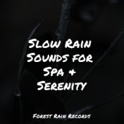 Slow Rain Sounds for Spa & Serenity