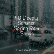 40 Deeply Summer Spring Rain Songs