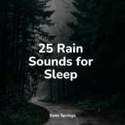 25 Rain Sounds for Sleep