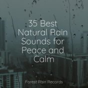 35 Best Natural Rain Sounds for Peace and Calm