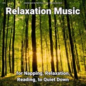 zZZz Relaxation Music for Napping, Relaxation, Reading, to Quiet Down