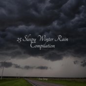 25 Sleepy Winter Rain Compilation