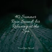 40 Summer Rain Sounds for Relaxing at the Spa