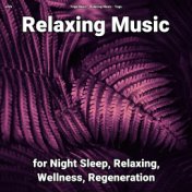 zZZz Relaxing Music for Night Sleep, Relaxing, Wellness, Regeneration