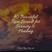 40 Beautiful Rain Sounds for Serenity & Healing