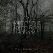 40 Harmonious Spring Rain Sounds