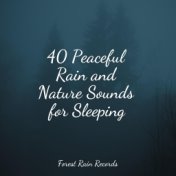 40 Peaceful Rain and Nature Sounds for Sleeping