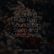 35 Spring Pure Rain Sounds for Sleep and Mindfulness