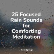 25 Focused Rain Sounds for Comforting Meditation