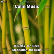 #01 Calm Music to Relax, for Sleep, Meditation, the Brain