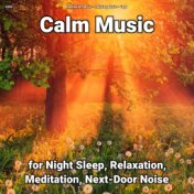 zZZz Calm Music for Night Sleep, Relaxation, Meditation, Next-Door Noise