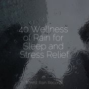 40 Wellness of Rain for Sleep and Stress Relief