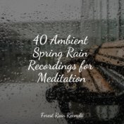 40 Ambient Spring Rain Recordings for Meditation