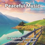 #01 Peaceful Music for Bedtime, Stress Relief, Relaxation, the Brain